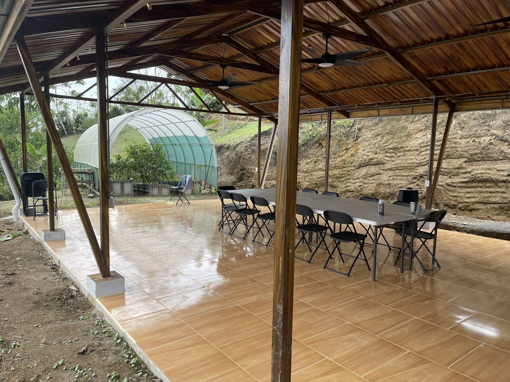 Top 5 Activities to Reconnect with Nature at Our Cottages